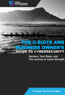 C-Suite and Business Owners Guide To Cybersecurity